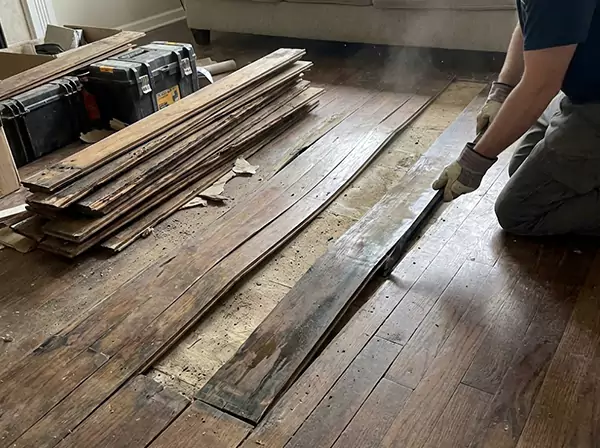 Water Damage Drying in Newnan