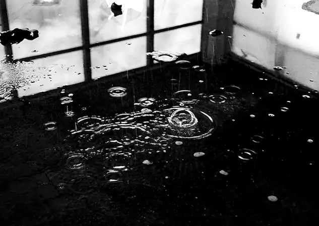 Your Contaminated Water Removal Specialists in Newnan, GA