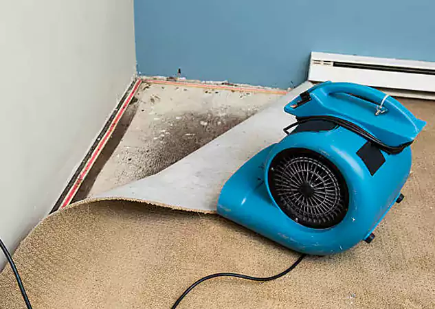Your Water Damage Experts in Newnan, GA