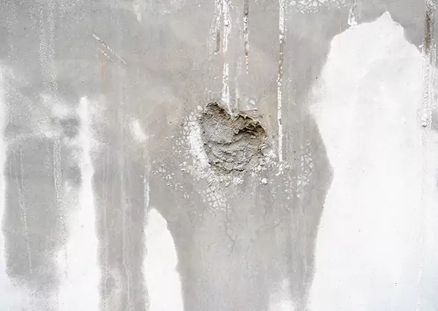 Your Mold Mitigation Solutions Partner in Newnan, GA