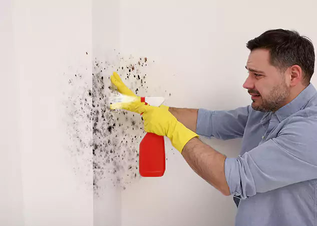 Your Water Mold Fire Restoration Partner in Newnan, GA
