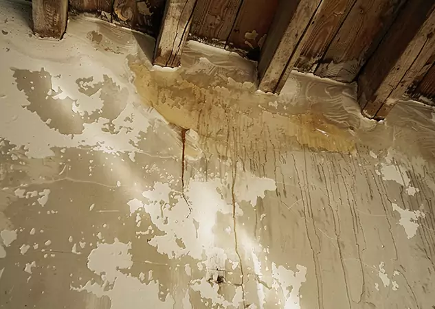 Your Trusted Restoration Company in Newnan, GA