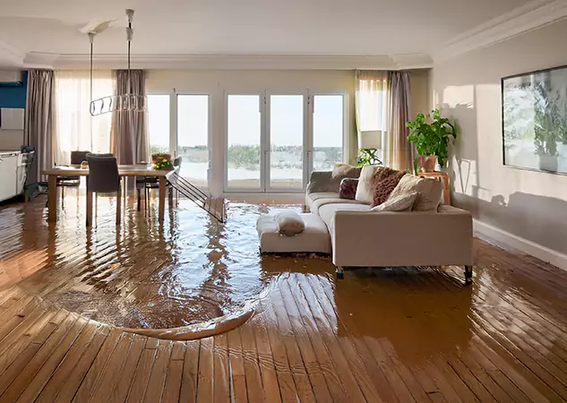 Your Water Removal Specialists in Newnan, GA