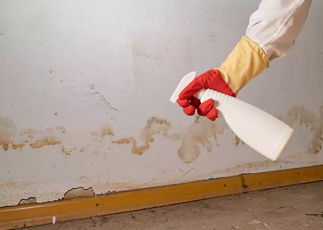 Your Water Restoration and Mold Remediation Specialists in Newnan, GA
