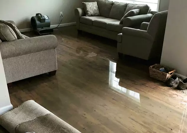 Your Trusted Restoration Company in Newnan, GA