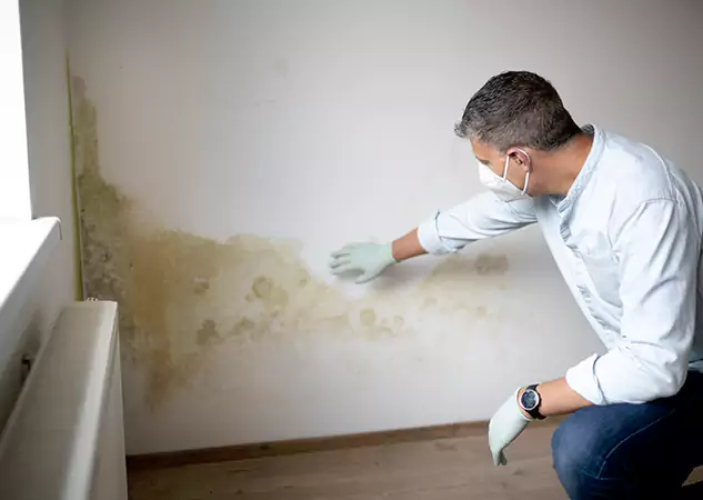 Reach Our Remediation Team Before Damage Grows in Newnan, GA!
