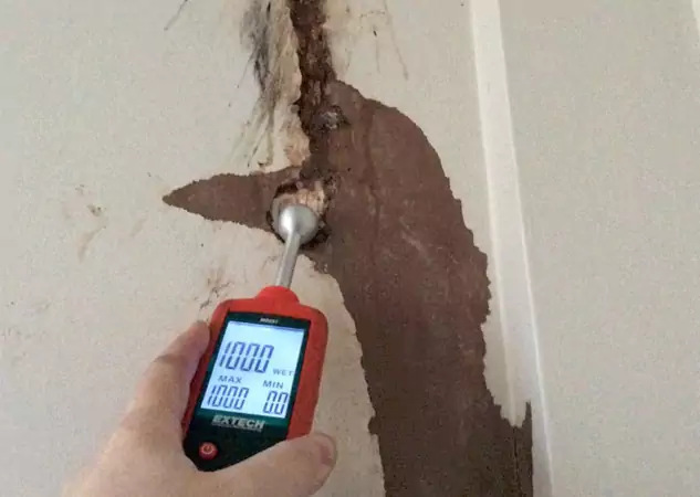 Your Water Damage Assessment Partner in Newnan, GA