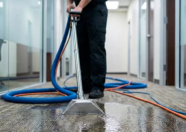 Your Water Damaged Carpet Restoration Partner in Newnan, GA