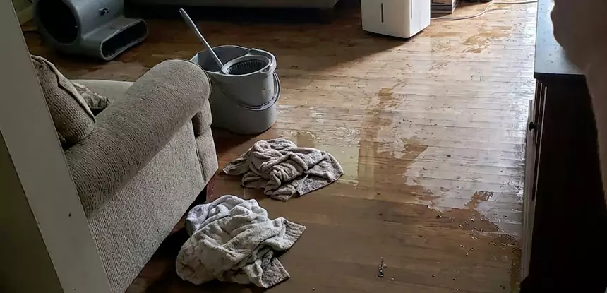 Professional Basement Water Remediation Services in Newnan, GA