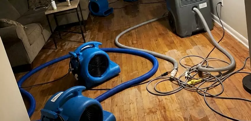 Basement Flood Restoration Services in Newnan