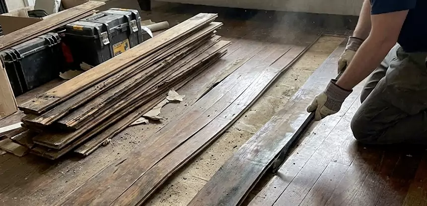 Wood Rot and Fungus Repair in Newnan