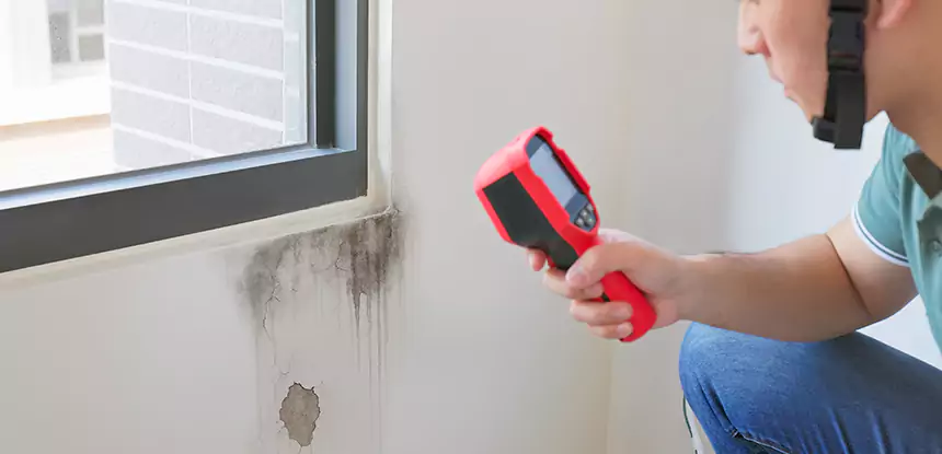 Wall Texture Repair After Mold in Newnan