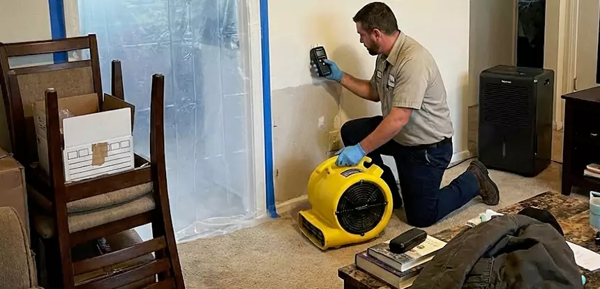 Carpet Water Damage Repair Newnan