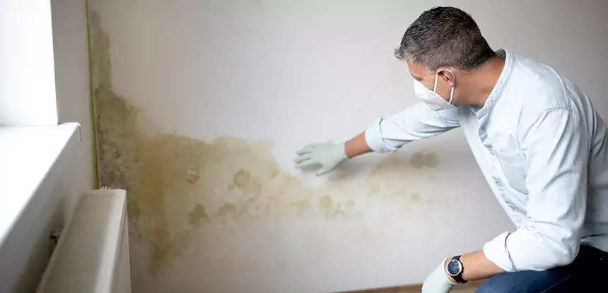 Mold and Water Damage Repair in Newnan