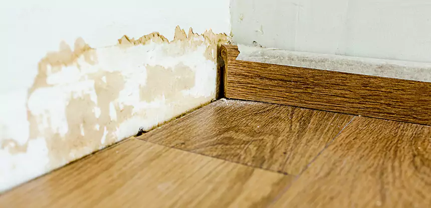 Professional Fix Water Damaged Wood Services in Newnan, GA