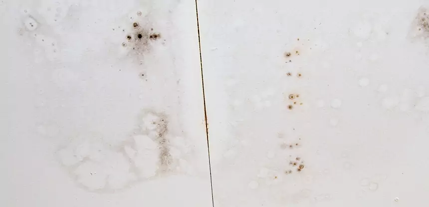 Professional Water Stain Repair Services in Newnan, GA
