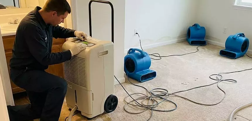 Professional Wet Carpet Removal Services in Newnan, GA