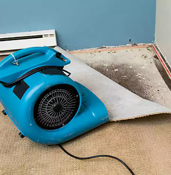Why Newnan Trusts Newnan Restoration Pro for Carpet Flood Recovery?