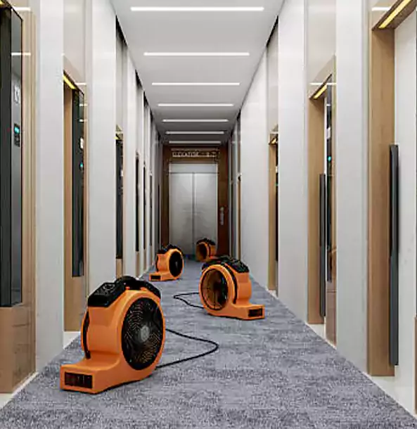 Why Newnan Trusts Newnan Restoration Pro?