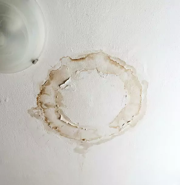 Why Newnan Property Owners Choose Newnan Restoration Pro for Ceiling Water Damage Restoration?