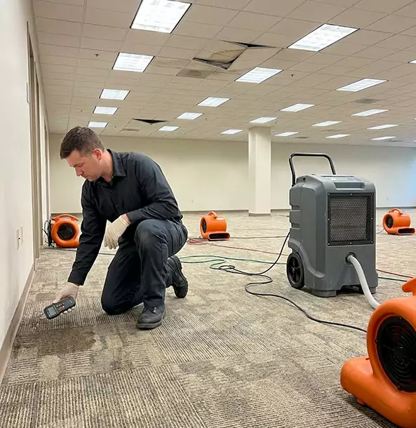 Why Newnan Businesses Choose Newnan Restoration Pro for Water Cleanup?