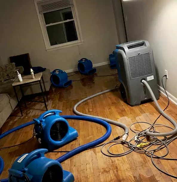 Why Newnan Calls Newnan Restoration Pro First for Emergency Restoration?