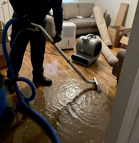 Why Newnan Trusts Newnan Restoration Pro for Flood Cleanup?
