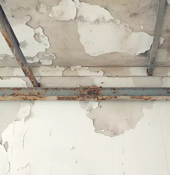 Why Newnan Restoration Pro Is the Right Choice in Newnan, GA?
