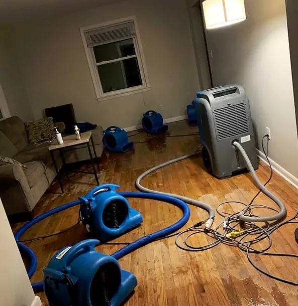 Why Newnan Property Owners Rely on Newnan Restoration Pro for Remediation?