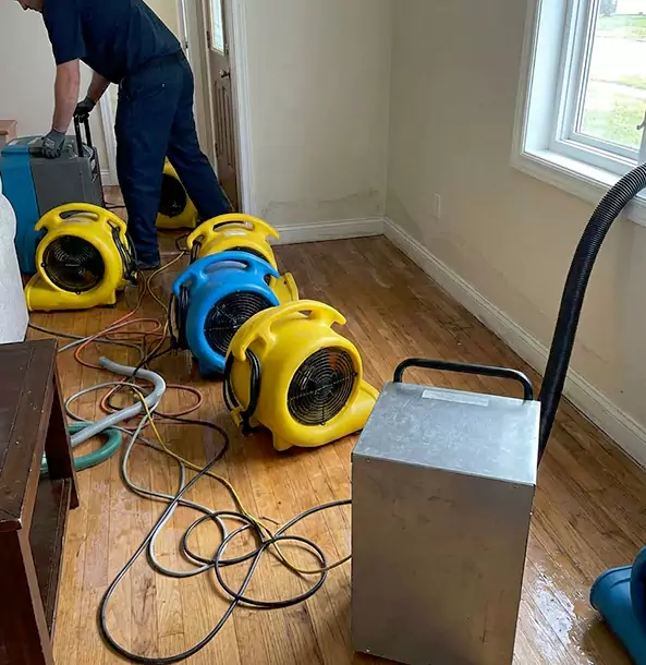 Why Newnan Property Owners Choose Newnan Restoration Pro for Remediation?