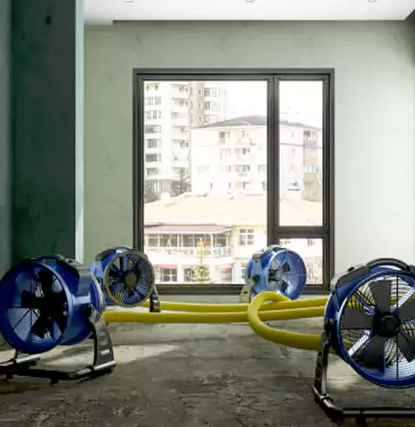 Why Newnan Property Owners Trust Newnan Restoration Pro for Water Damage Drying?