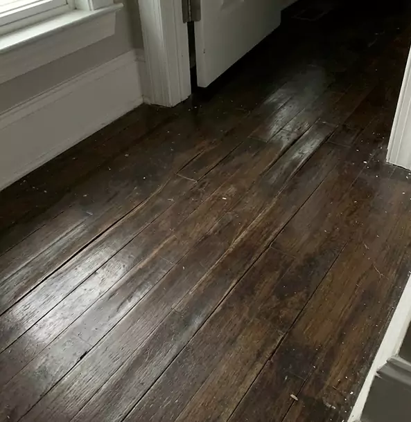 Why Newnan Homeowners Trust Newnan Restoration Pro to Fix Water Damaged Wood?