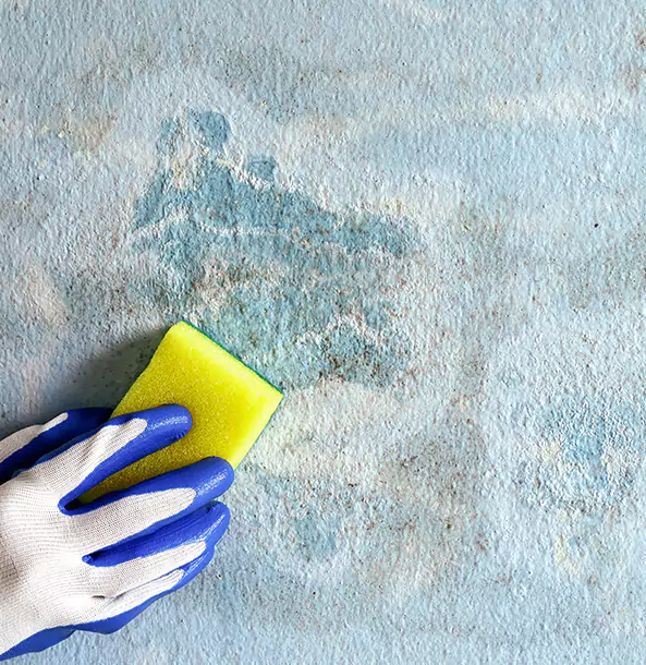 Why Newnan Restoration Pro Is the Right Choice in Newnan, GA?