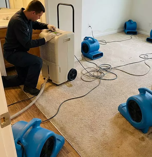 Why Newnan Homeowners and Businesses Trust Newnan Restoration Pro for Carpet Drying?