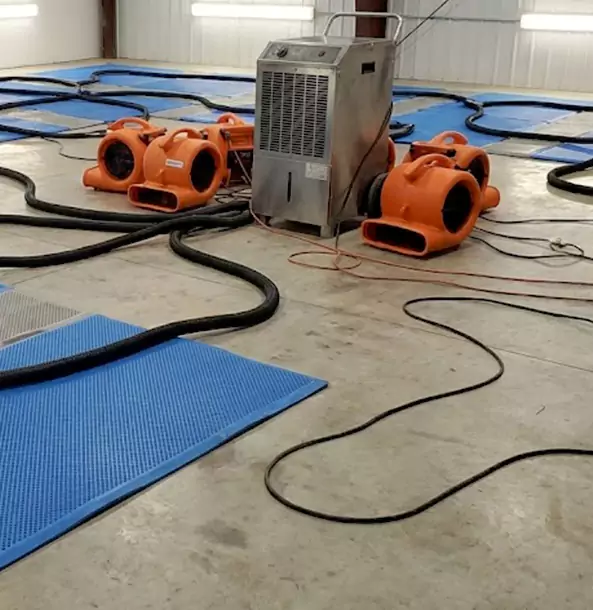 Why Newnan Homeowners and Businesses Choose Newnan Restoration Pro for Wet Carpet Removal?