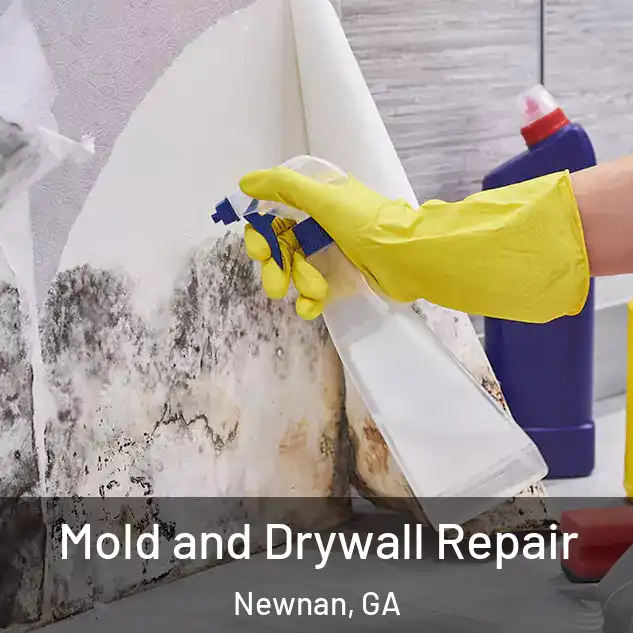  Mold and Drywall Repair Newnan, GA