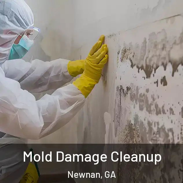  Mold Damage Cleanup Newnan, GA