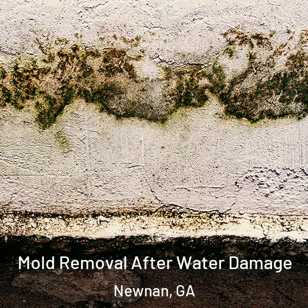  Mold Removal After Water Damage Newnan, GA