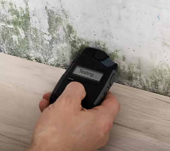 Mold Remediation Service Newnan