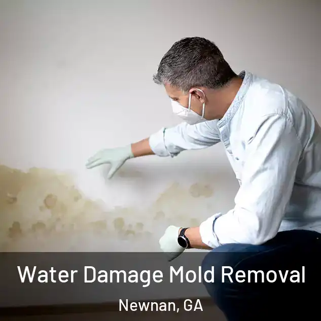  Water Damage Mold Removal Newnan, GA