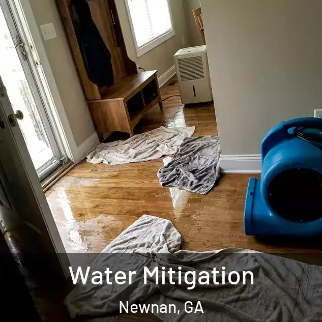  Water Mitigation Newnan, GA