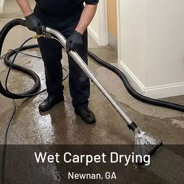  Wet Carpet Drying Newnan, GA
